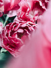 Load image into Gallery viewer, Essential Oils