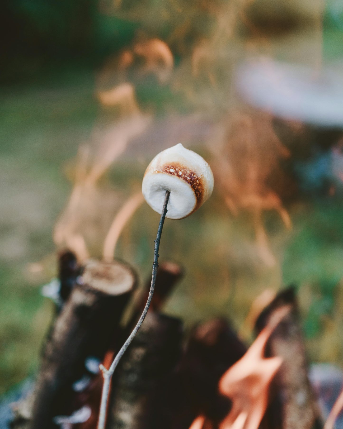 Campfire Marshmallow